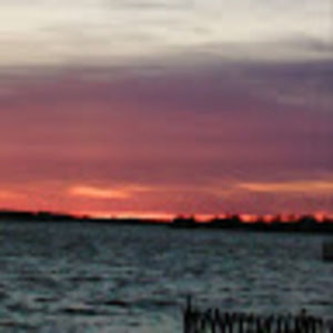 Meet your Posher, Tonya